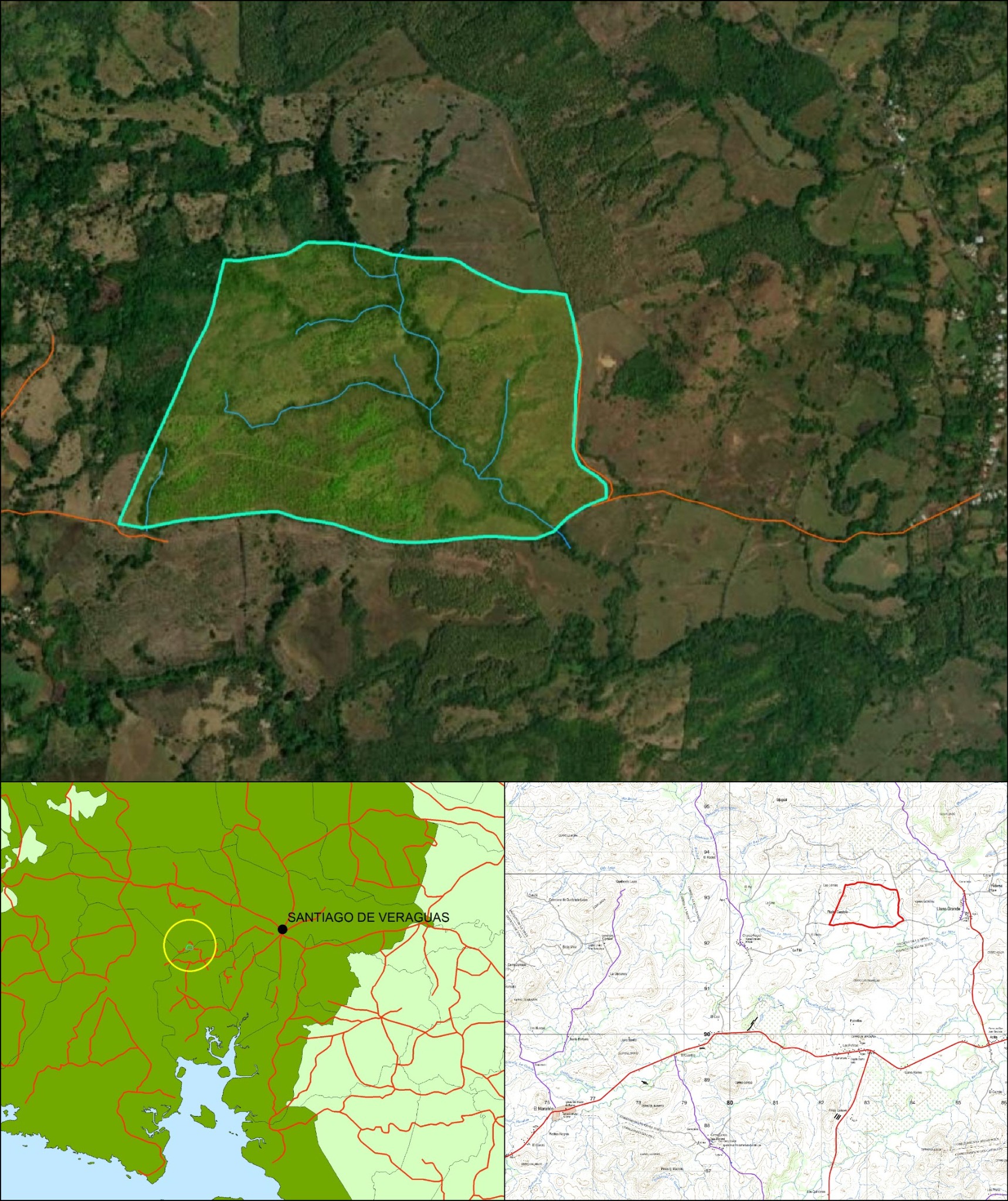Imagen 6 – composición vertical de Llano Grande
